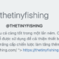 thetinyfishing